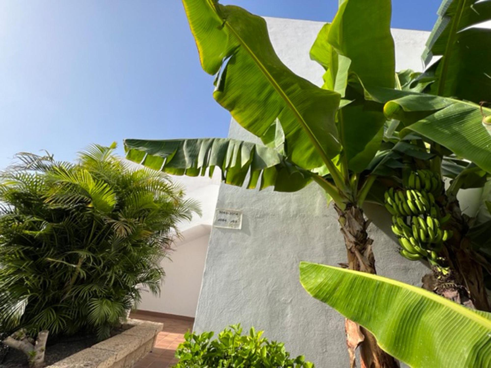 Apartament Malibu Blue Адехе Экстерьер фото